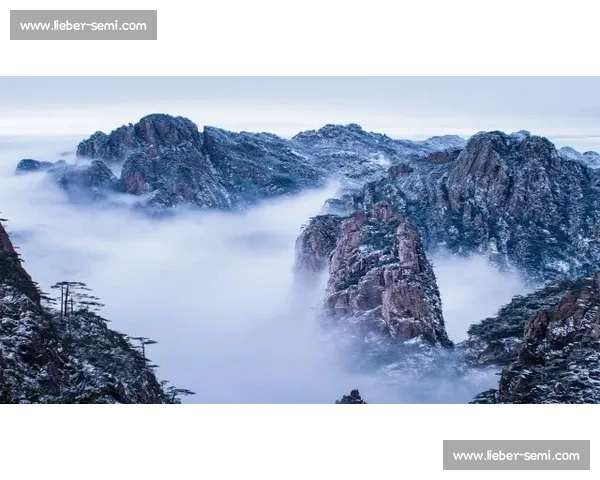 康纳与桑托斯巅峰对决全面解析力量速度与战术博弈的终极较量