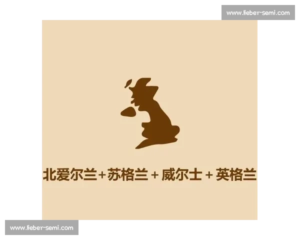 威尔士对阵爱尔兰焦点战解析从历史交锋到战术对抗的全景观察